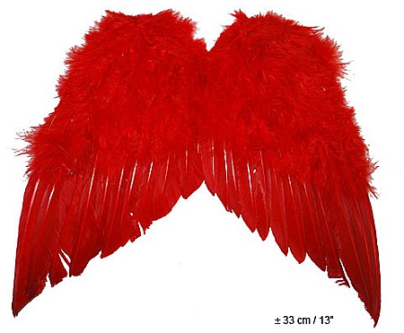 ARIPI SI ARTICOLE DIN PENE/TULLE - Aripi rosii pene 35x36 cm - Cod 54763