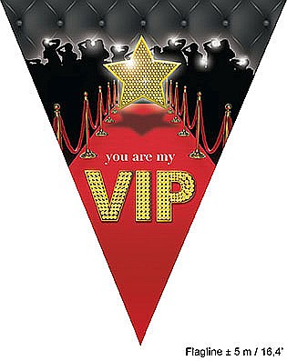 DECORATIUNI PETRECERE CARNAVAL - Stegulete atarnatoare - 5 M (10 buc) - model-VIP - Cod 84636