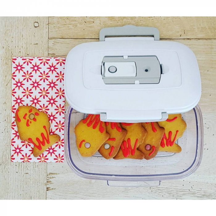 Cutie pentru aparatul de vidat Rommelasbacher VCC150 [9]