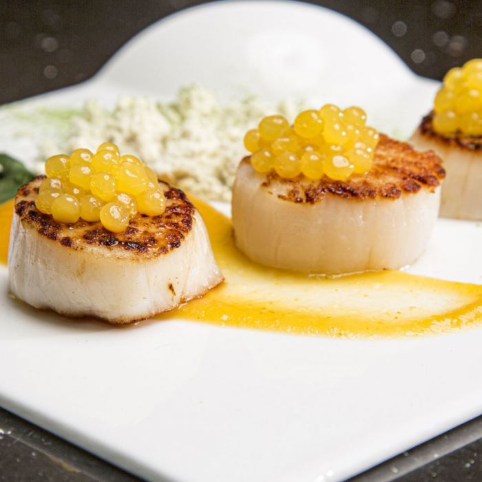 Food designer Rommelsbacher FD500 [4]