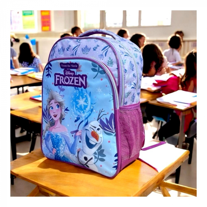 Ghiozdan copii, 42x30x17 cm, cu trei compartimente si doua buzunare laterale, multicolor, bretele ergonomice, intarite si ajustabile, benzi reflectorizante, Frozen [6]