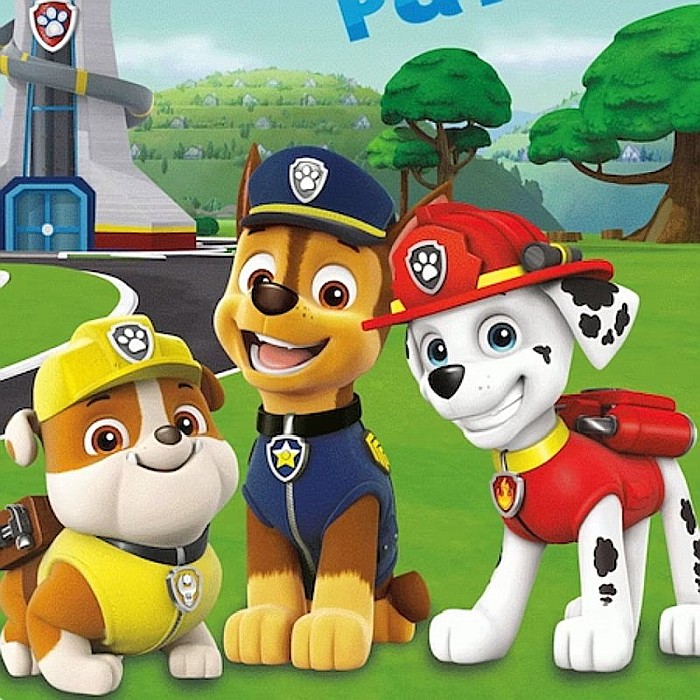 Set lenjerie pat copii, 100% bumbac, multicolor, 2 piese, 100×135 cm, 40×60, Paw Patrol [2]