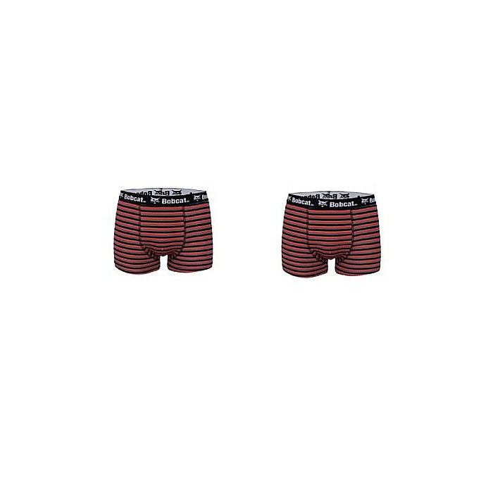 Set 2 boxeri bărbați, cu bandă logo, multicolor, Nord, Bobcat [1]
