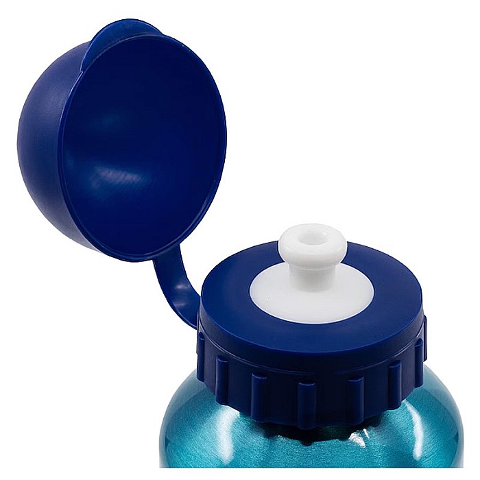 Sticlă apă din aluminiu, multicolor, capacitate 400 ml, Bluey [2]