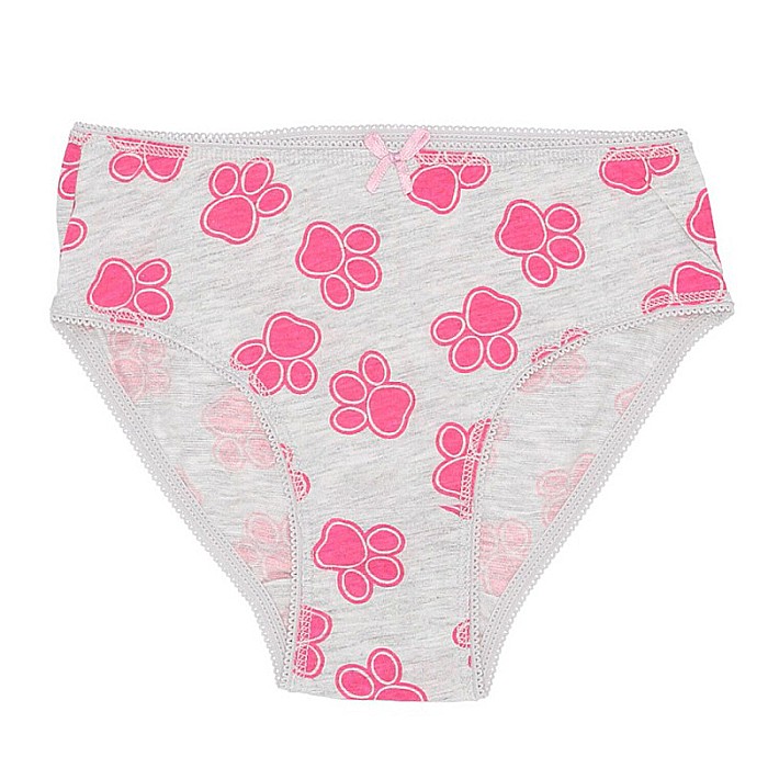 Set 4 perechi de chiloți pentru fetițe, multicolor, 100% bumbac,  Skye, Paw Patrol [3]