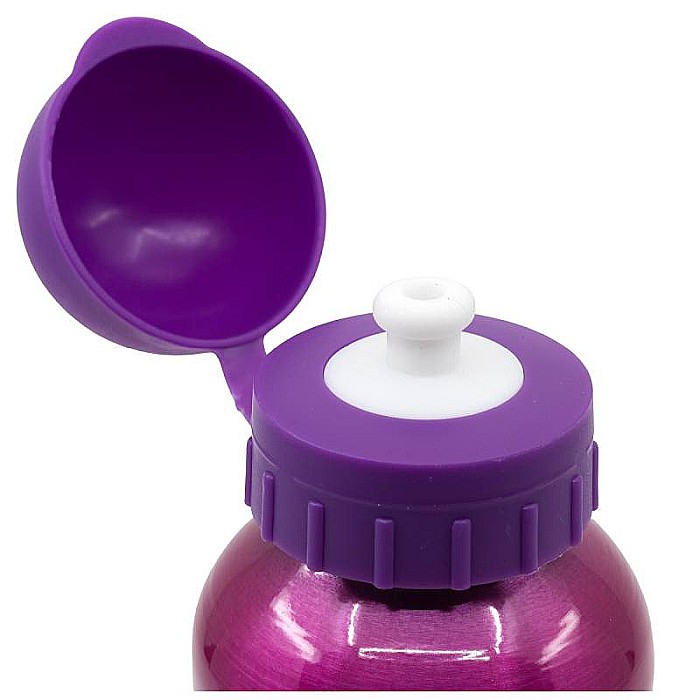 Sticlă de apă, pentru copii, din aluminiu, fără BPA, multicolor, 400 ml, Girl Sketch, Paw Patrol [3]