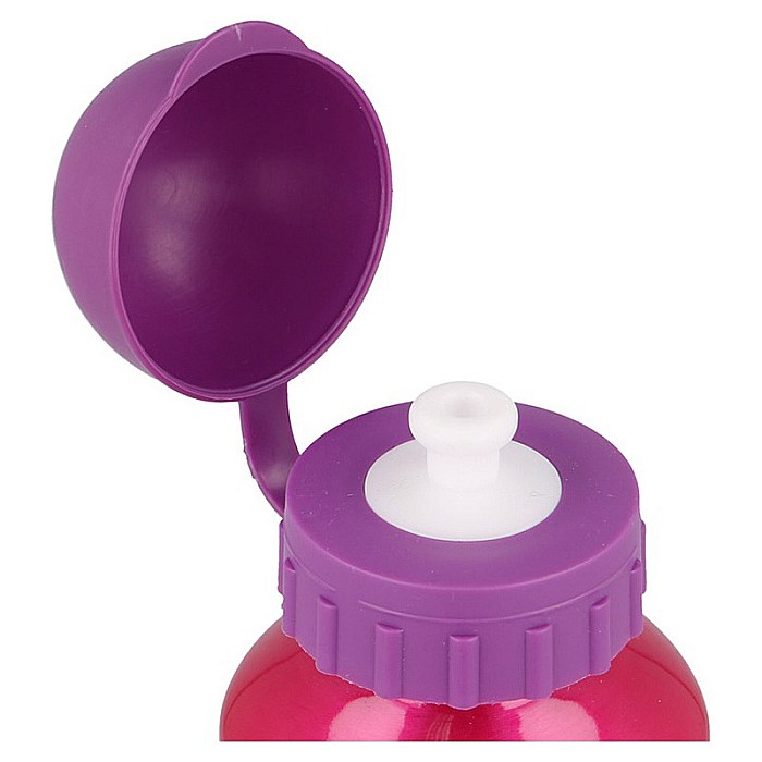 Sticlă de apă  pentru copii, din aluminiu, cu model Disney Princess Bright & Bold, 400 ml [3]