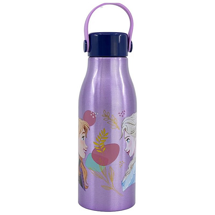 Sticlă cu mâner, Disney Frozen, aluminiu, multicolor, 760 ml [1]