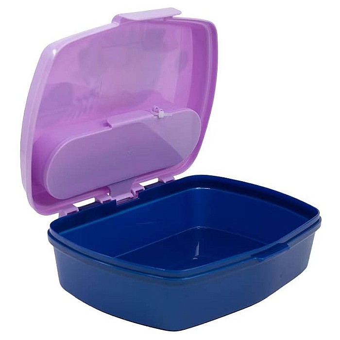 Cutie sandwich cu lingură și furculiță, multicolor, plastic fără BPA, Trust, Frozen [3]