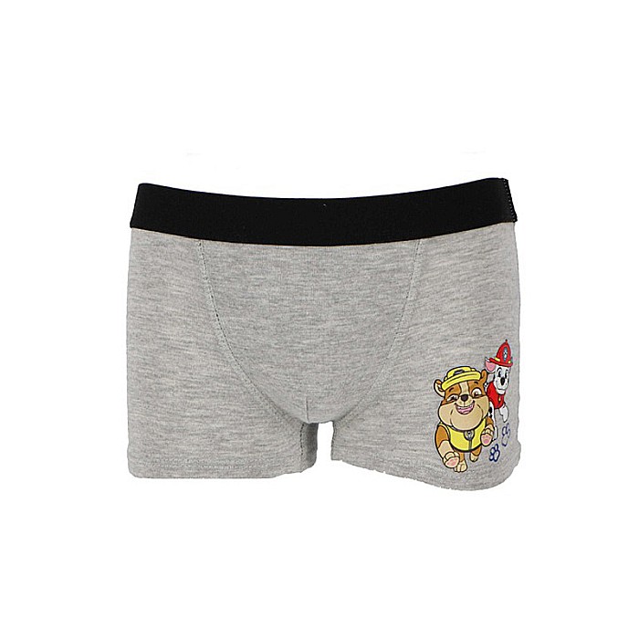 Set 4 perechi boxeri pentru băieți, multicolor,  Paw Patrol [4]