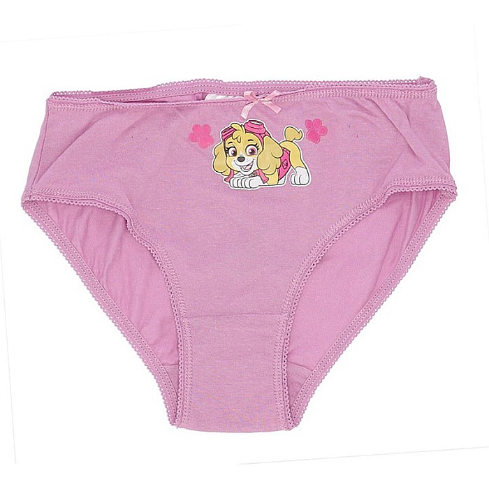 Set 4 perechi de chiloți pentru fetițe, multicolor, 100% bumbac,  Skye, Paw Patrol [5]