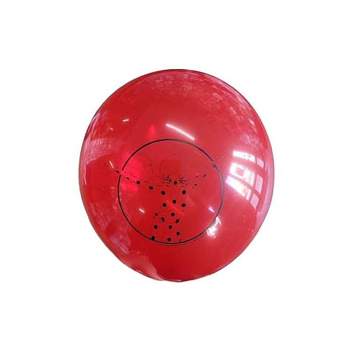 Set 6 baloane latex Miraculous/Lady Bug 23 cm [4]