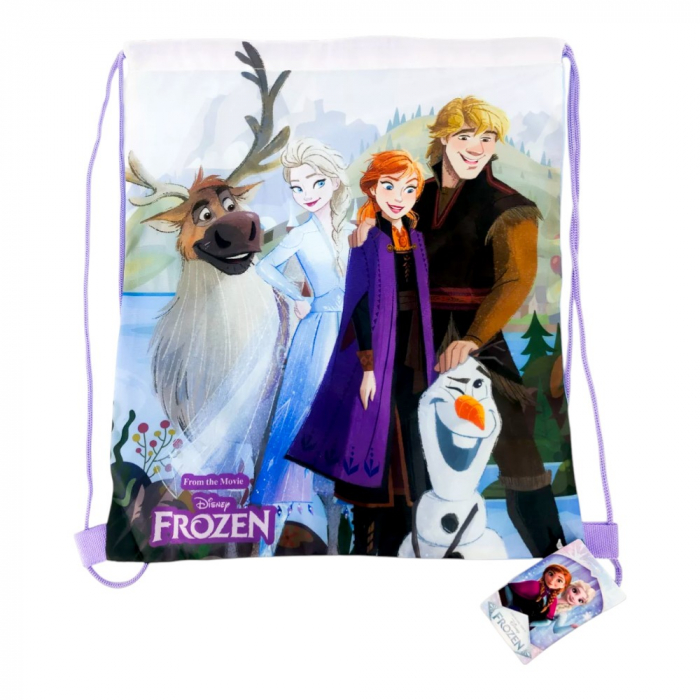 Set ghiozdan, 26x22x10 cm, sac sport si portofel, multicolor, Frozen [6]