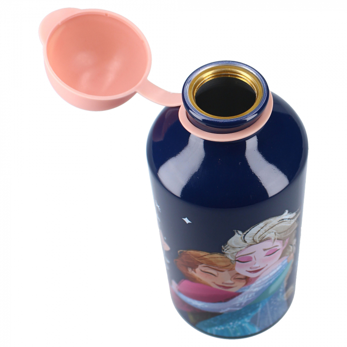 Sticla apa din aluminiu, multicolor, capacitate 500 ml, Really Refreshing, Frozen [5]