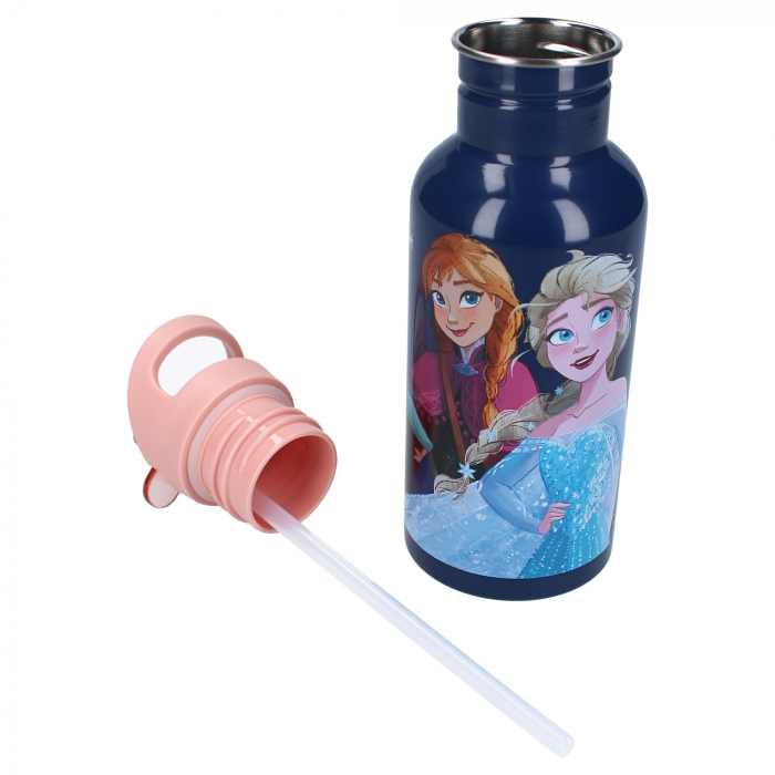 Sticla apa din aluminiu, multicolor, capacitate 500 ml, Take A Sip, Frozen [5]