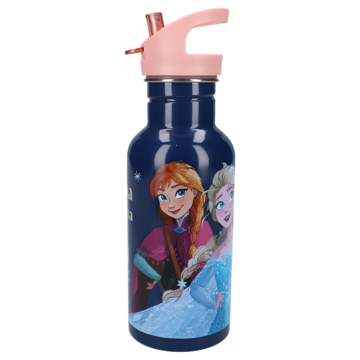 Sticla apa din aluminiu, multicolor, capacitate 500 ml, Take A Sip, Frozen [1]