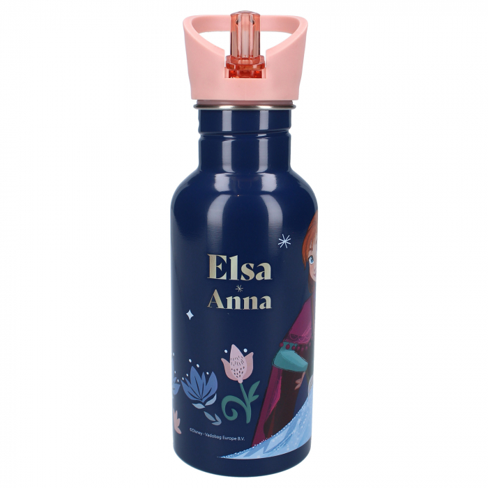 Sticla apa din aluminiu, multicolor, capacitate 500 ml, Take A Sip, Frozen [2]