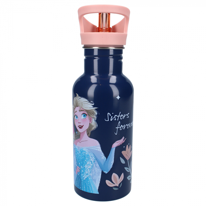 Sticla apa din aluminiu, multicolor, capacitate 500 ml, Take A Sip, Frozen [3]