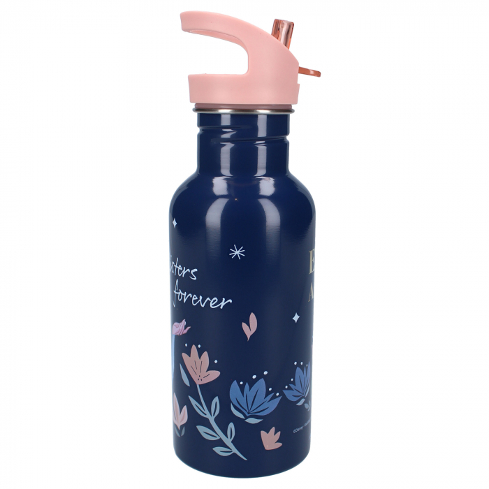 Sticla apa din aluminiu, multicolor, capacitate 500 ml, Take A Sip, Frozen [4]