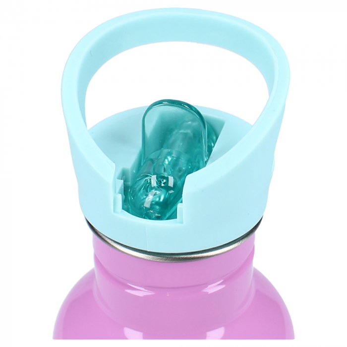 Sticla apa din aluminiu, multicolor, capacitate 500 ml, Take A Sip, Gabby's Dollhouse [5]