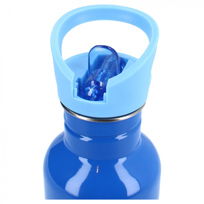 Sticla apa pentru copii, multicolor, capacitate 500 ml, Take A Sip, Paw Patrol [6]