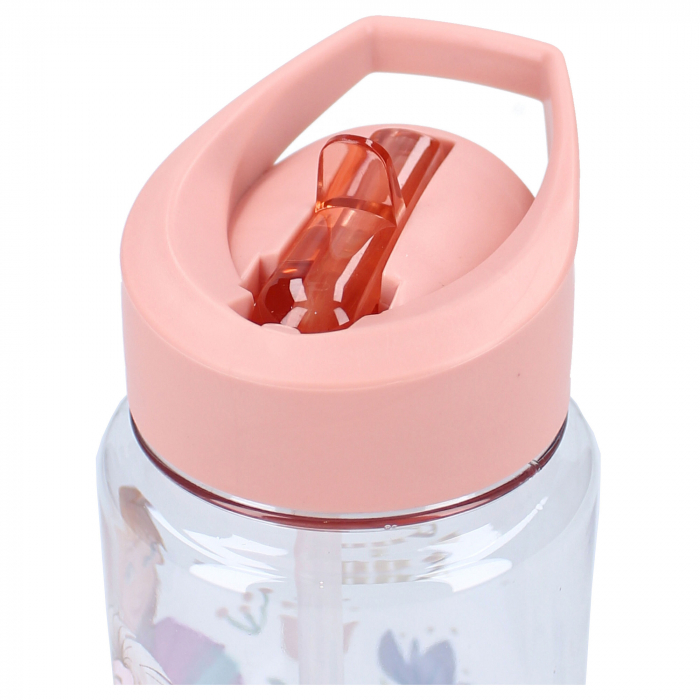 Sticla apa, plastic, fara BPA, transparent, capacitate 450 ml, Drink Up, Frozen [4]