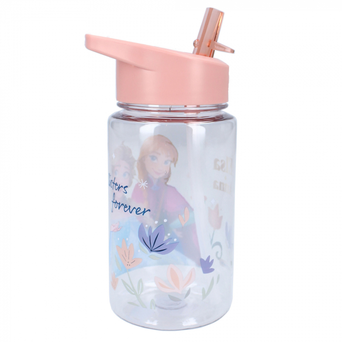 Sticla apa, plastic, fara BPA, transparent, capacitate 450 ml, Drink Up, Frozen [3]