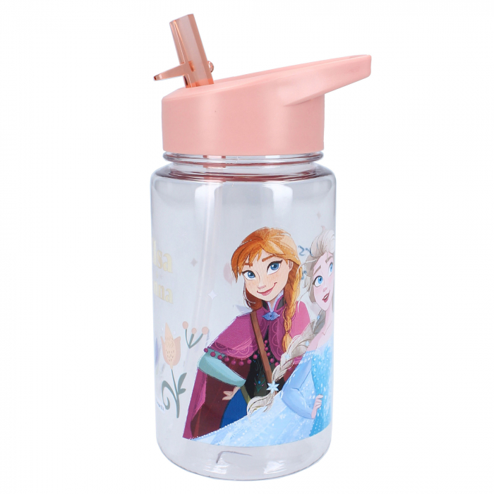Sticla apa, plastic, fara BPA, transparent, capacitate 450 ml, Drink Up, Frozen [1]
