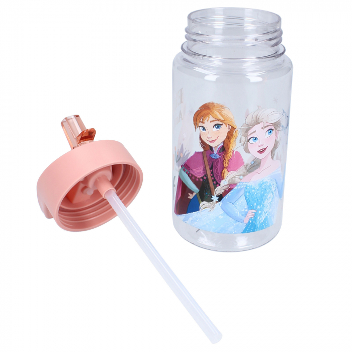 Sticla apa, plastic, fara BPA, transparent, capacitate 450 ml, Drink Up, Frozen [5]