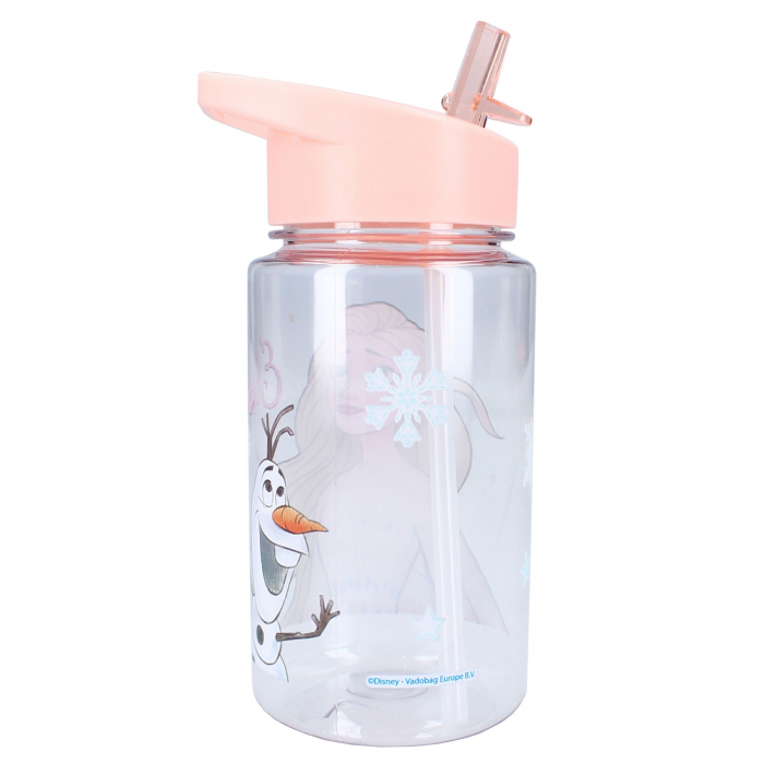 Sticla de apa 450 ml, transparent, Disney, Frozen II Let's Eat [4]