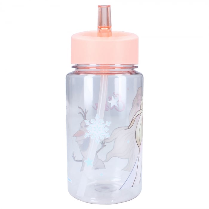 Sticla de apa 450 ml, transparent, Disney, Frozen II Let's Eat [2]