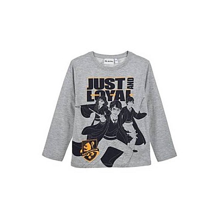 Copii - Tricou cu mânecă lungă, bumbac organic, gri, Harry Potter