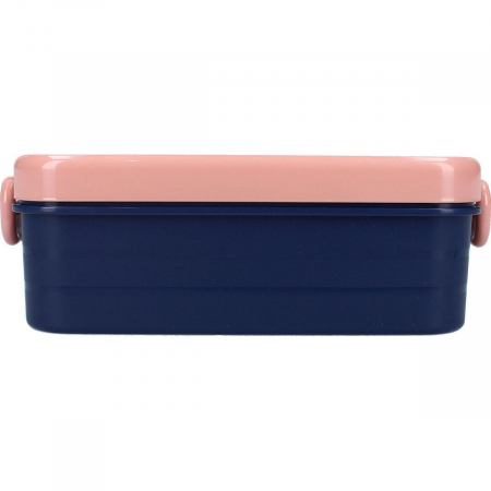 Cutie sandwich multicolor, fara BPA, cu garnitura si inchidere ermetica, 16x13x5 cm, Frozen, Disney [3]