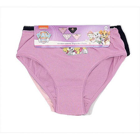 Set 4 perechi de chiloți pentru fetițe, multicolor, 100% bumbac,  Skye, Paw Patrol [3]