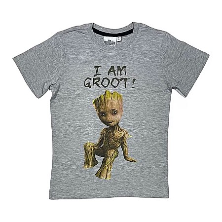 Tricouri copii - Tricou copii, 100% bumbac, I Am Groot, gri,  Guardians of the Galaxy