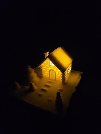 Peisaj Iarna Luminat LED [1]