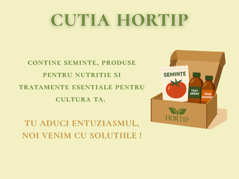 Cutia Hortip