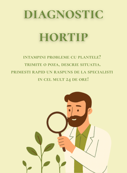 Diagnostic Hortip
