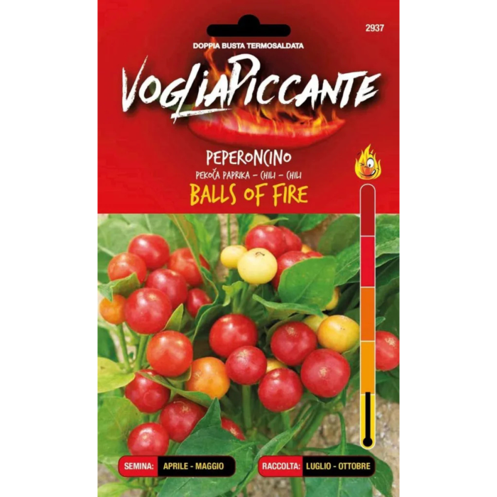 Seminte de ardei iute Balls of Fire - planta compacta cu fructe rotunde multicolore [1]