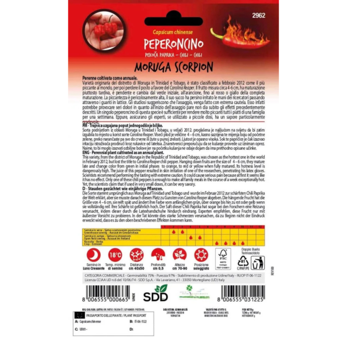 Seminte de ardei iute Button Mix - planta compacta pentru ghiveci si consum proaspat [2]
