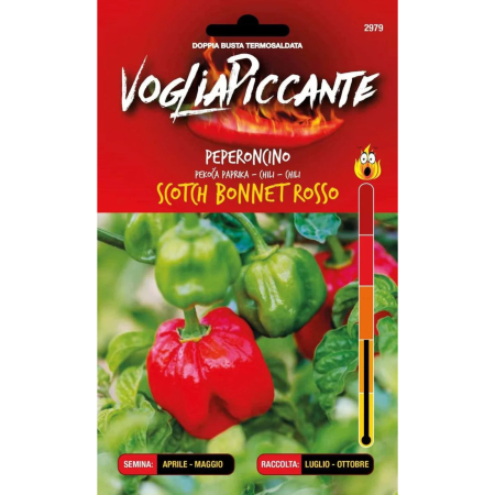 Seminte legume - Ardei iute scotch bonnet