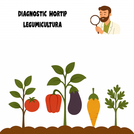 Diagnostic Hortip - Diagnostic Legumicultura