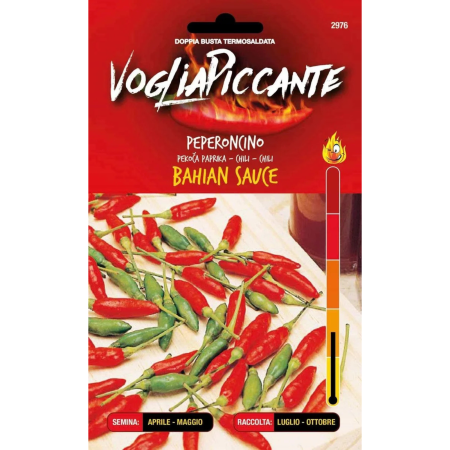 Seminte - Seminte de ardei iute Bahian Sauce Chili - ardei foarte picant pentru sosuri si conserve