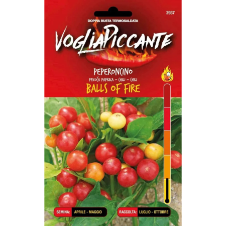 Seminte - Seminte de ardei iute Balls of Fire - planta compacta cu fructe rotunde multicolore