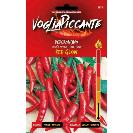 Seminte - Seminte de ardei iute Red Glow - fructe rosii lucioase pentru chili si muraturi