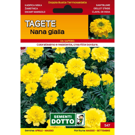 Seminte legume - Seminte de Craite galbene pitice