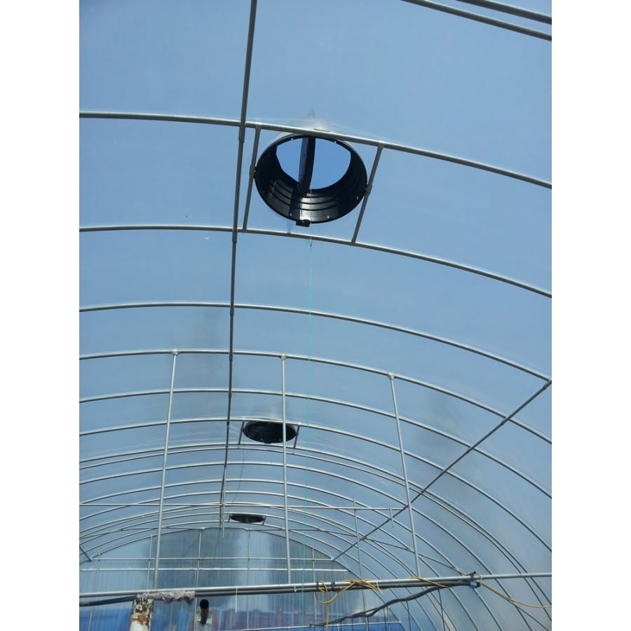 Galerie imagini