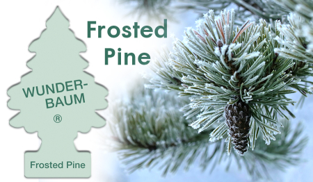 Odorizante Auto - Odorizant Auto Wunder-BaumÂ®, Frosted Pine