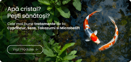 Tratamente pentru apa iazuri