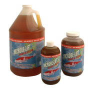 Intretinerea apei ( anti alge, bacterii etc)